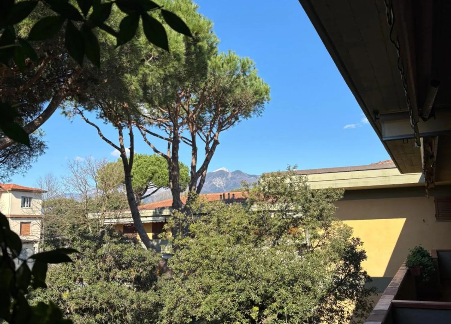 Sea And Mountains Apartment Marina di Massa Italy